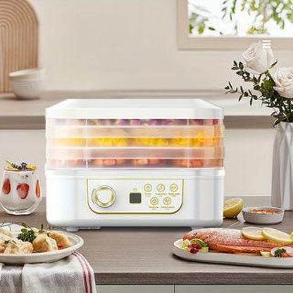 Magic Mill Food Dehydrator Machine | 5 Stackable Stainless Steel Trays, 48H Digital Adjustable Timer & Temperature Control Upto 167� Electric Dryer & Preserver for Jerky, Fruit, Dog Treats & Much More